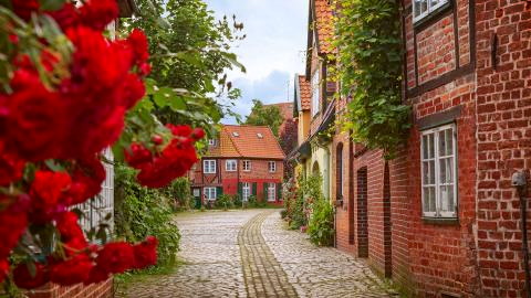 Titelbild für 3 Tage Lüneburg 
und „Rote Rosen“
